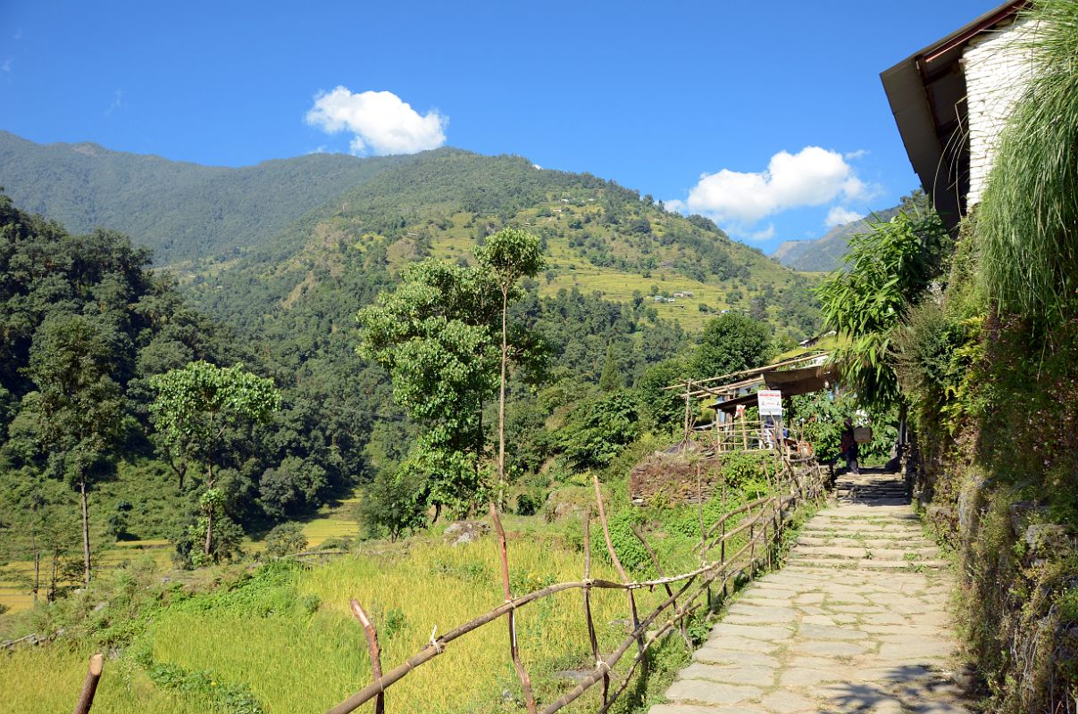 Nayapul To Ghorepani 09 Trail Between Matathanti And Hille 